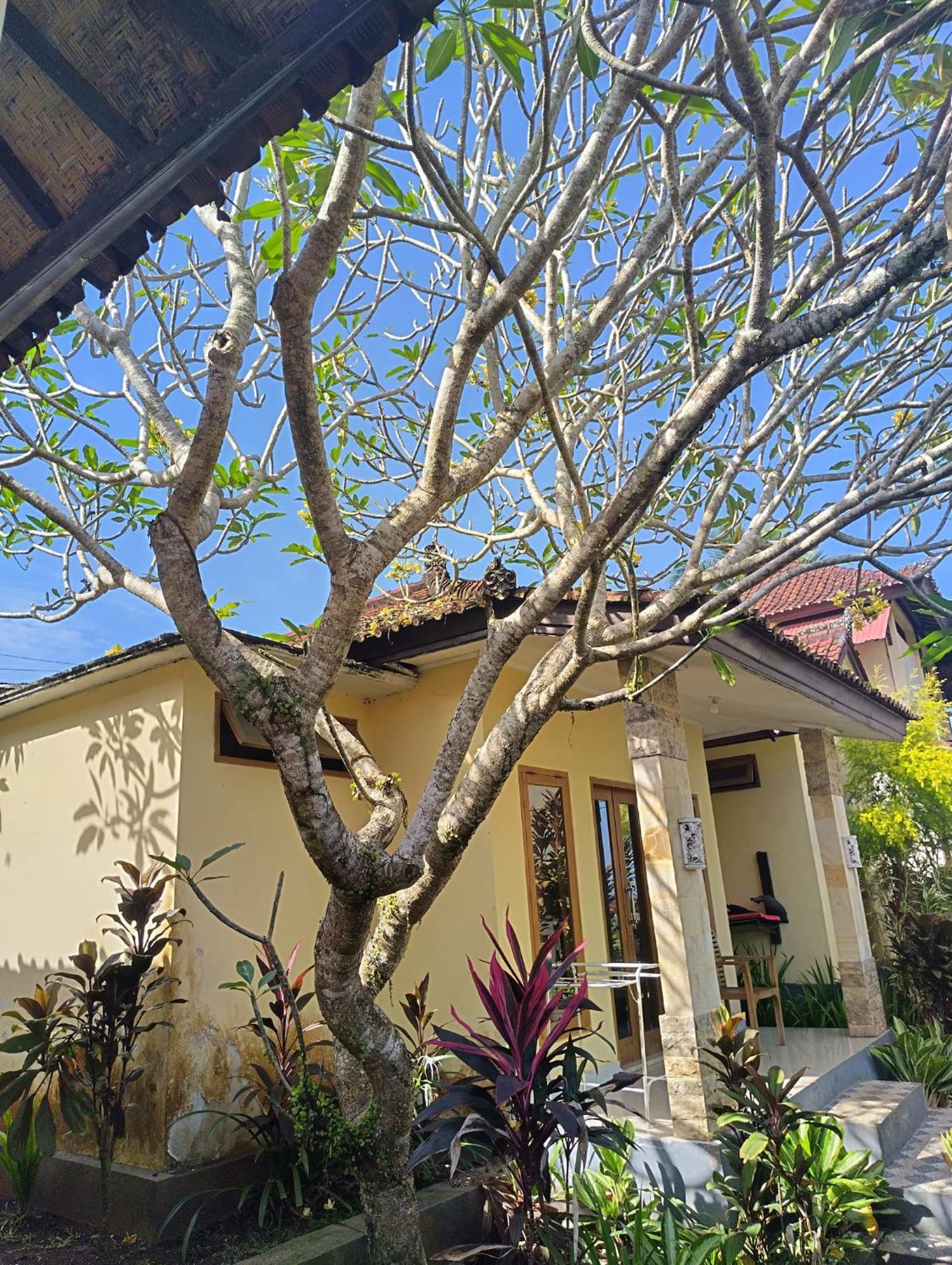 Kirra'S Beach House بولوكان المظهر الخارجي الصورة