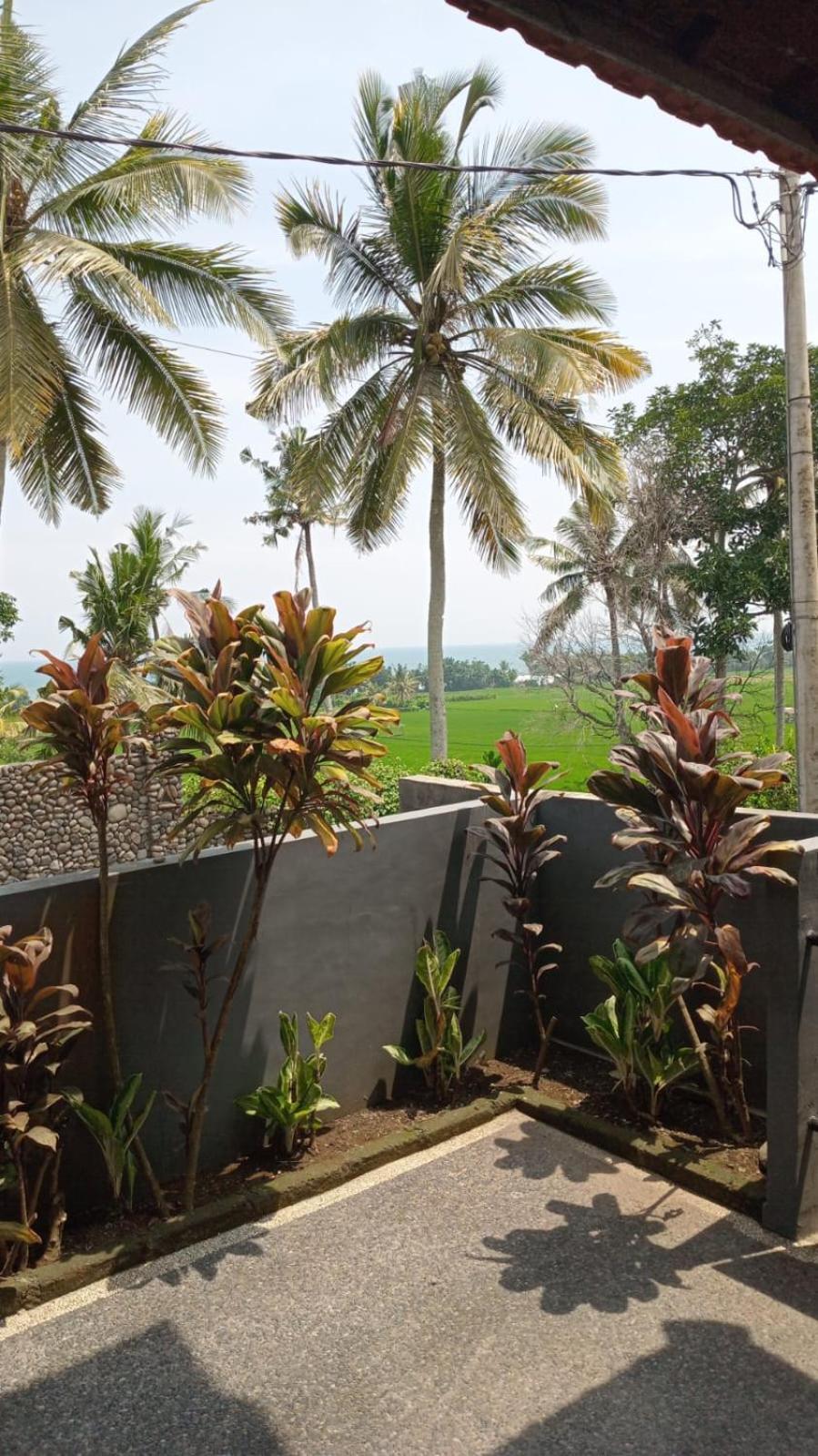 Kirra'S Beach House بولوكان المظهر الخارجي الصورة